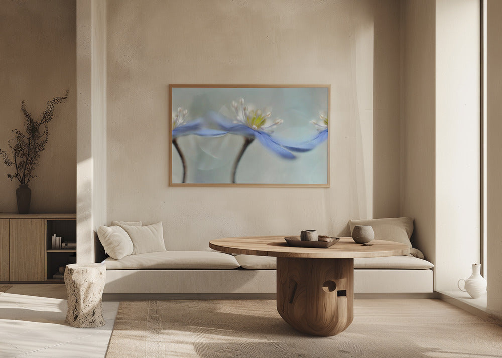 Tanzende Anemonen | Poster - Kunstdruck