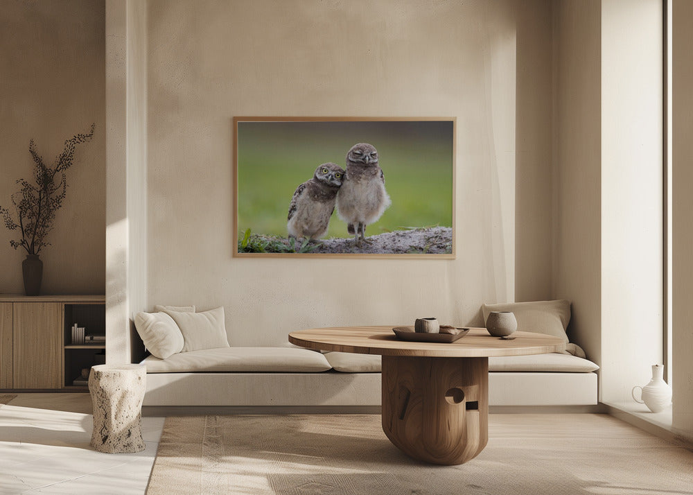 Venner | Plakater - Kunsttrykk