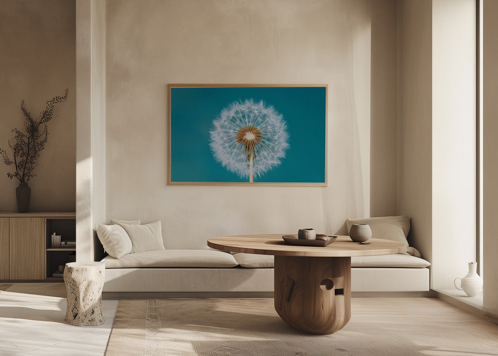 Tarassaco | Poster - Stampe d’Arte