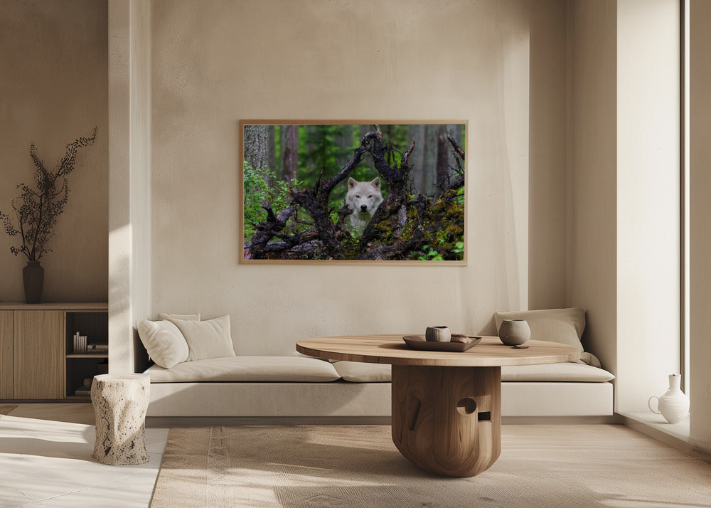 Wolf | Poster - Kunstdruck