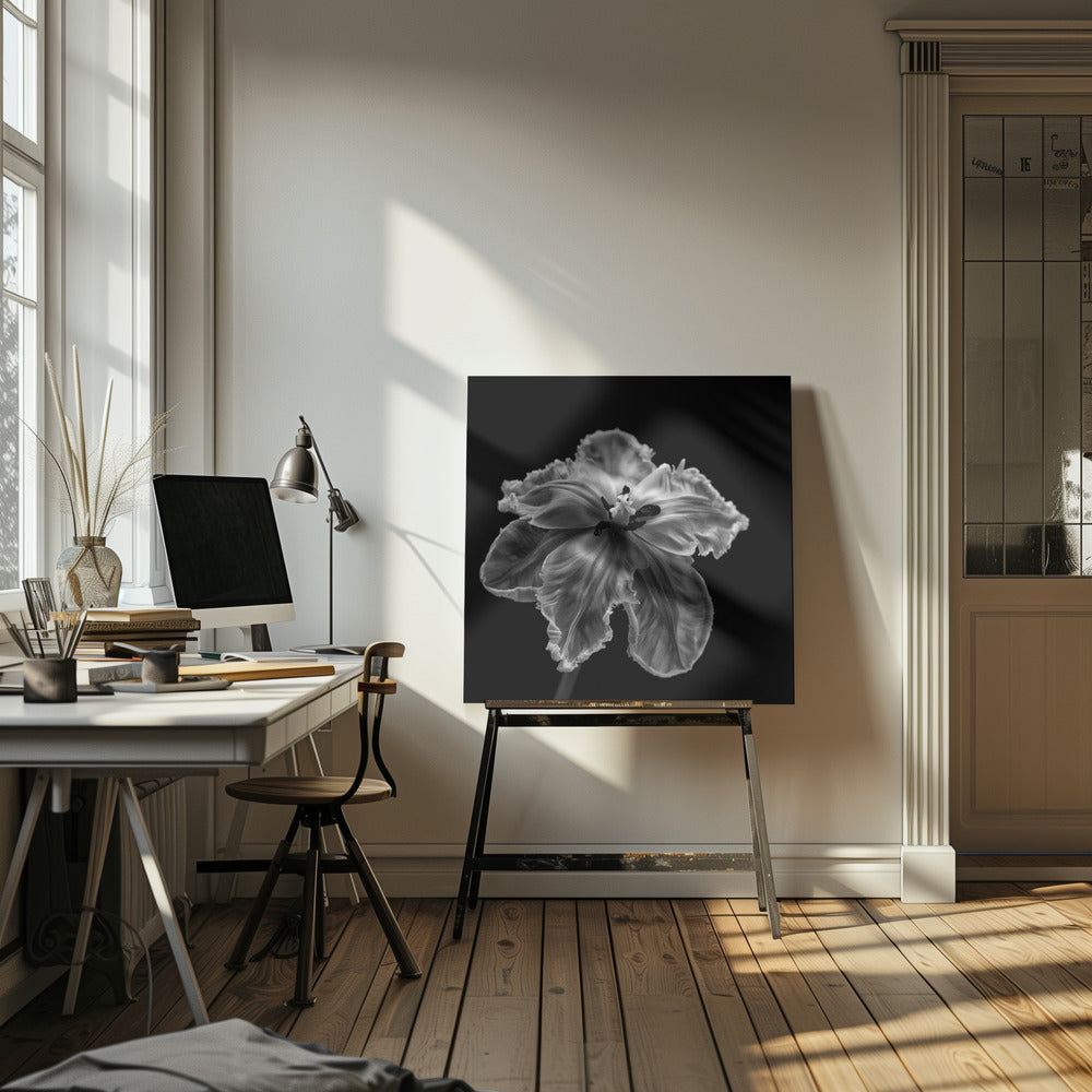 Tulipe perroquet | Tableaux sur Toile
