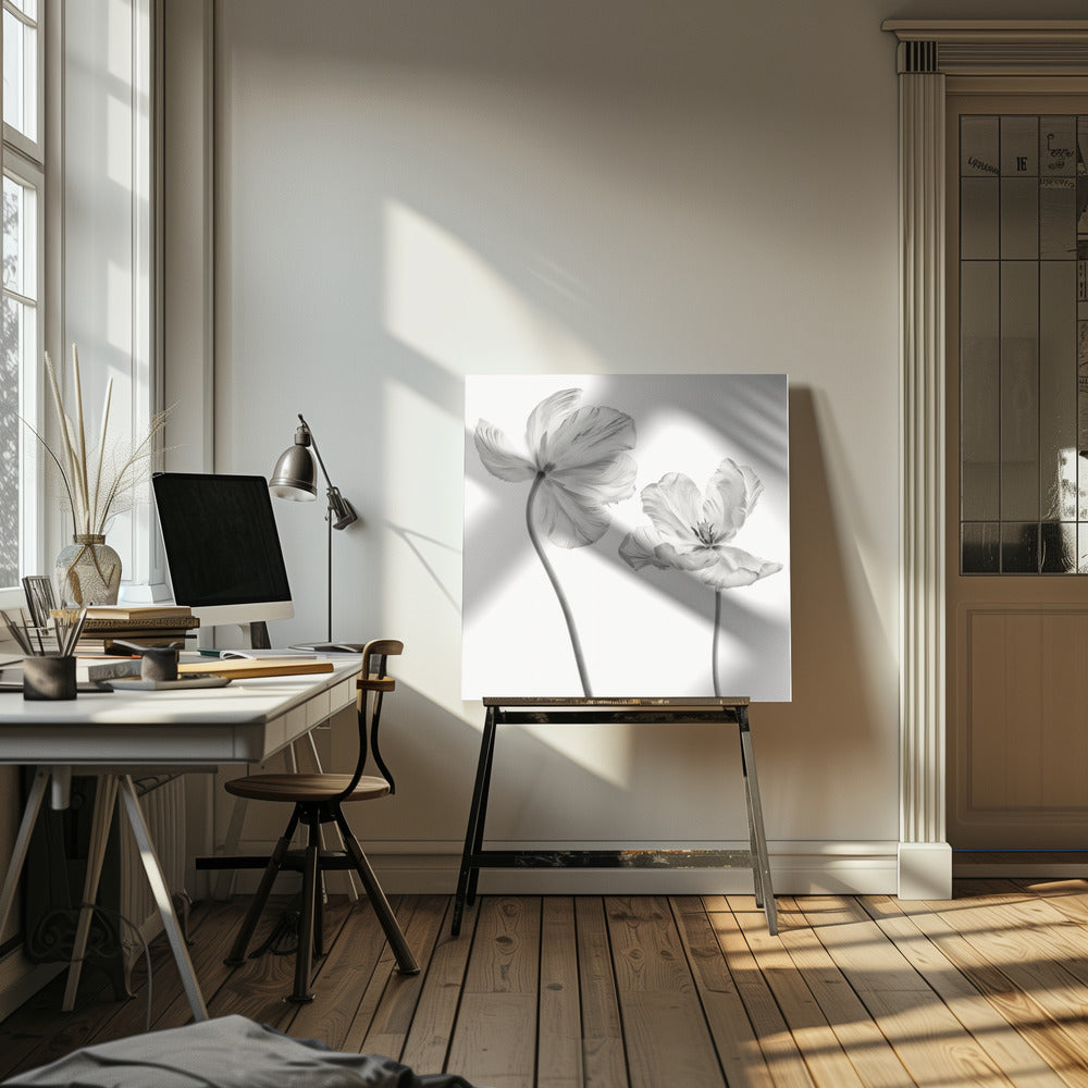 Même tulipe : vue de face et de dos | Tableaux sur Toile