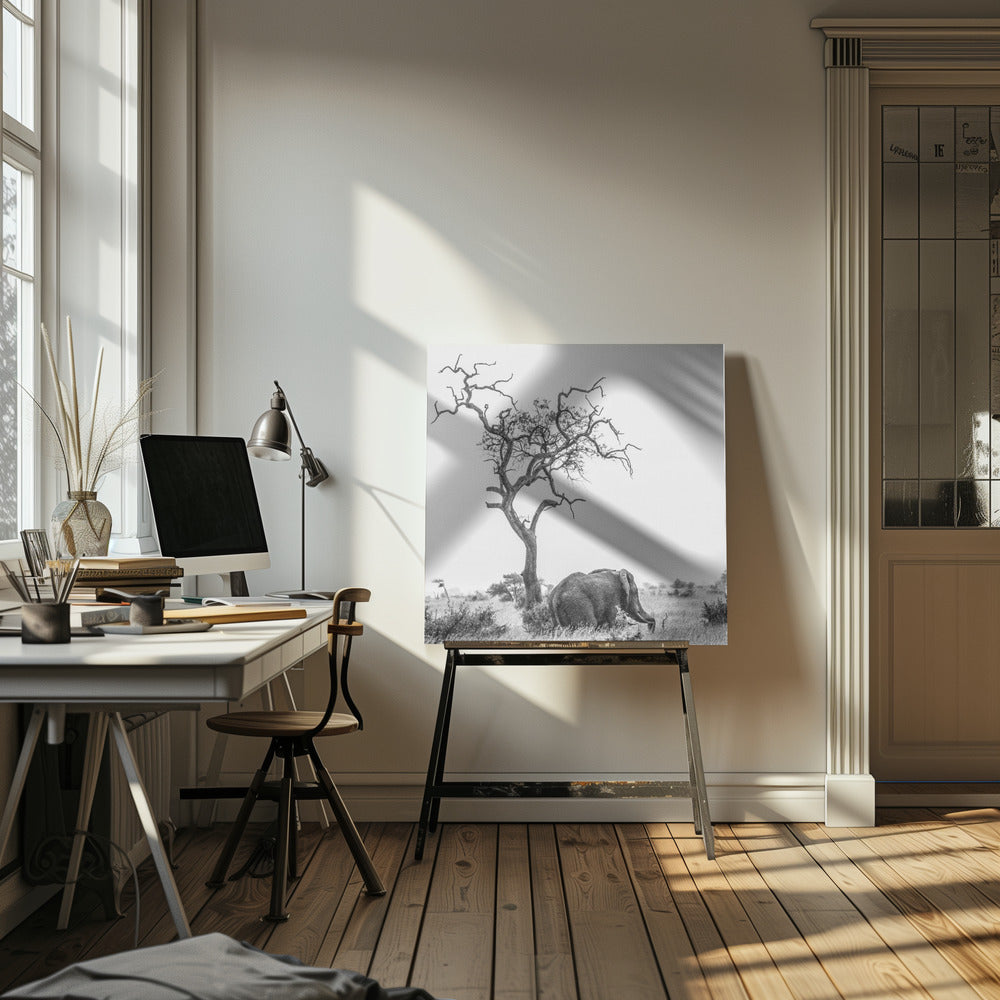 Treet og elefanten | Lerretsbilder
