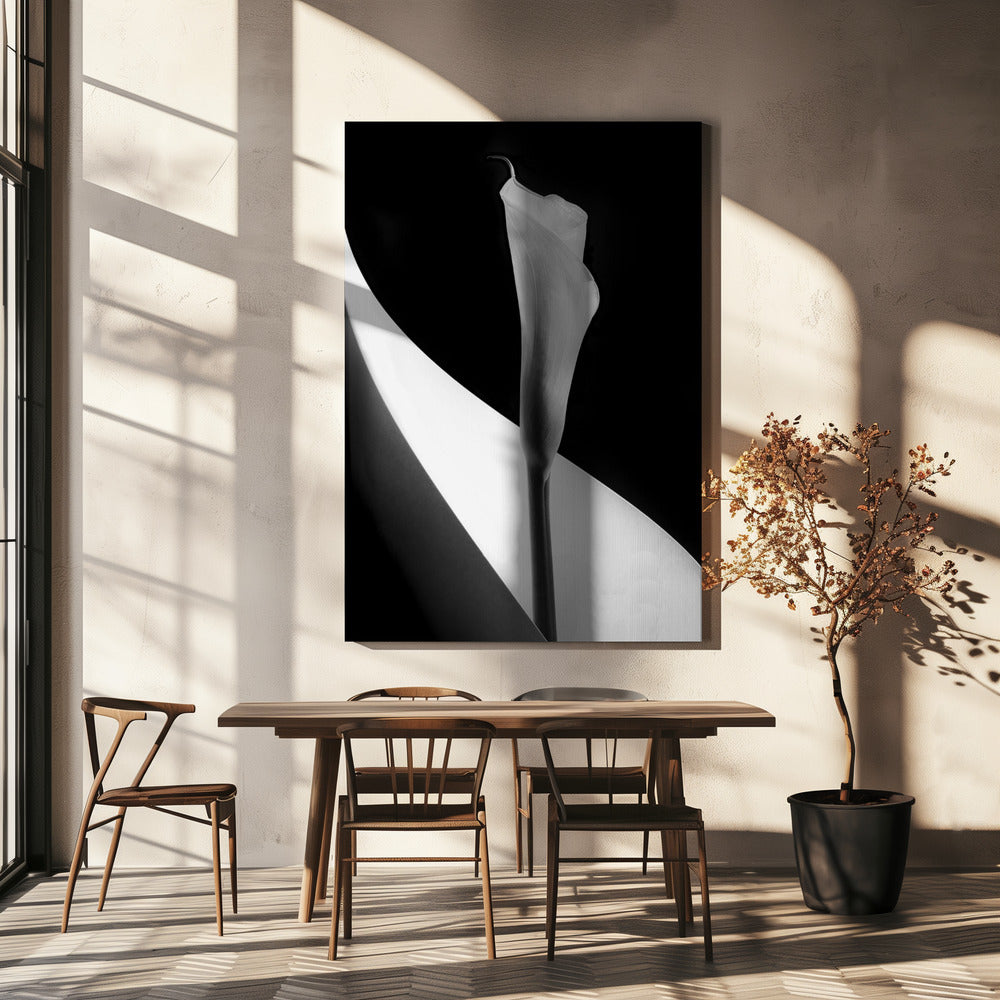 Calla-Lilie | Leinwand-Bilder