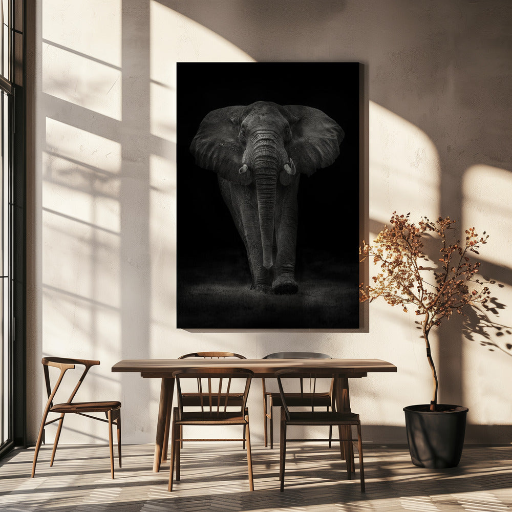 Ngorongoro Bull | Canvas
