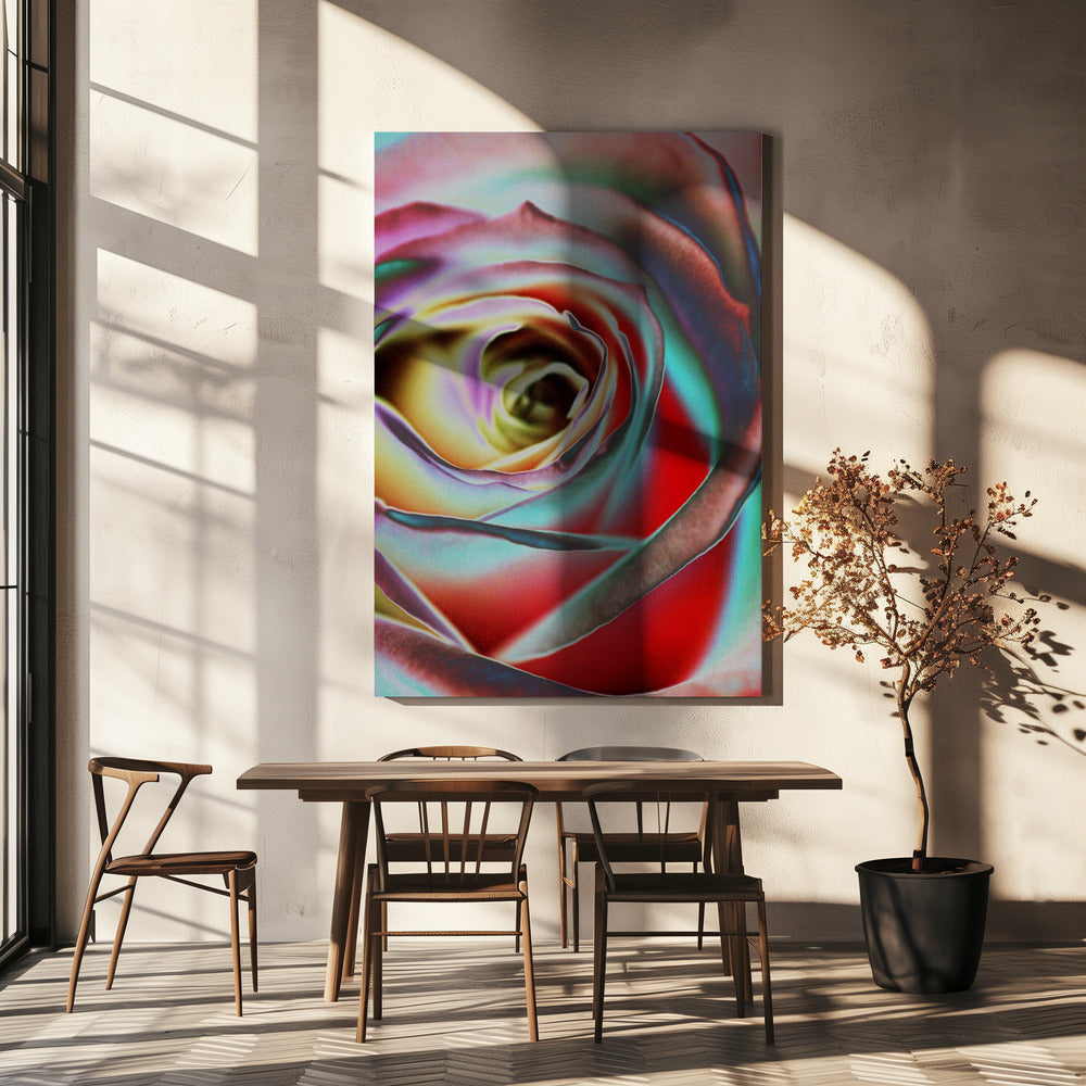 Rose | Lerretsbilder