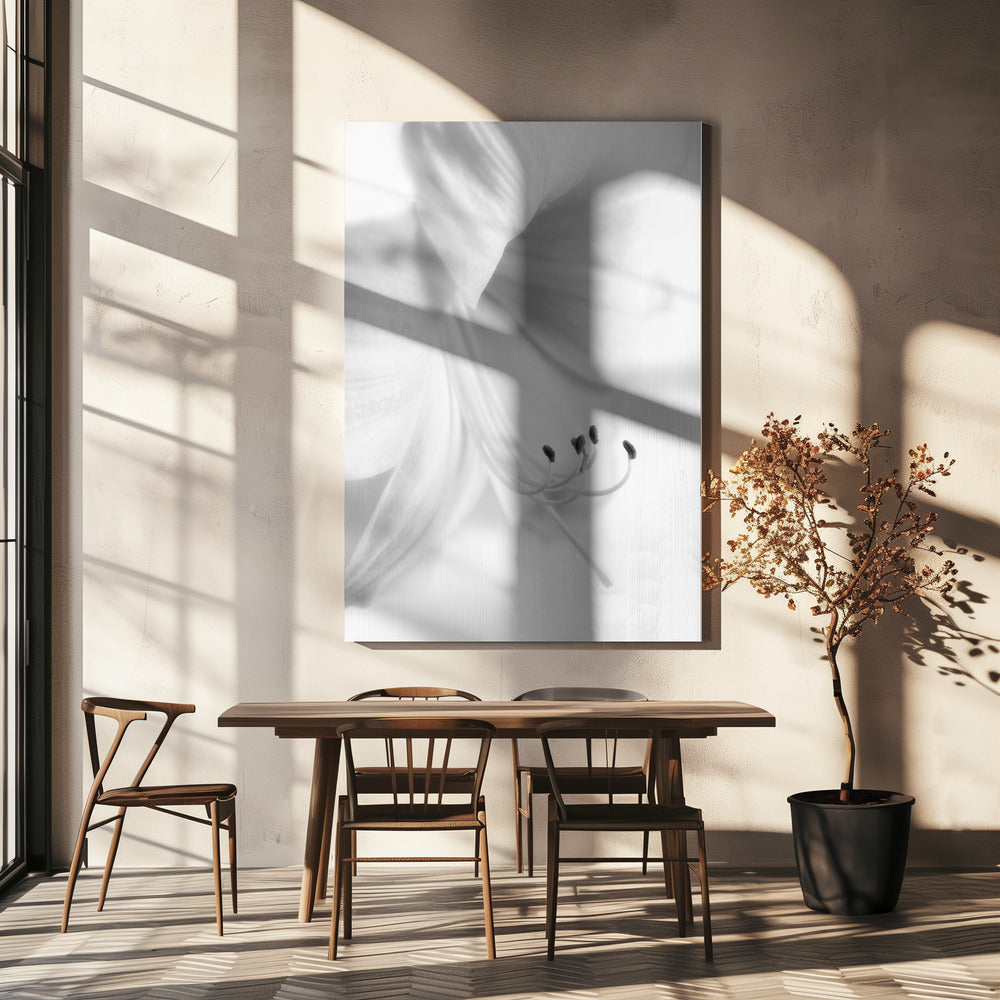 Vitt på vitt | Canvas