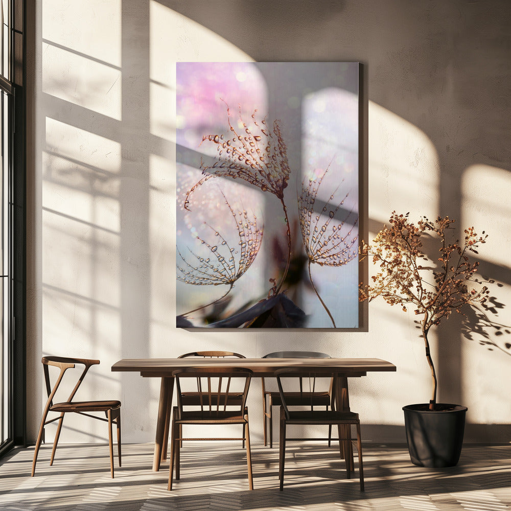 macro | Canvas