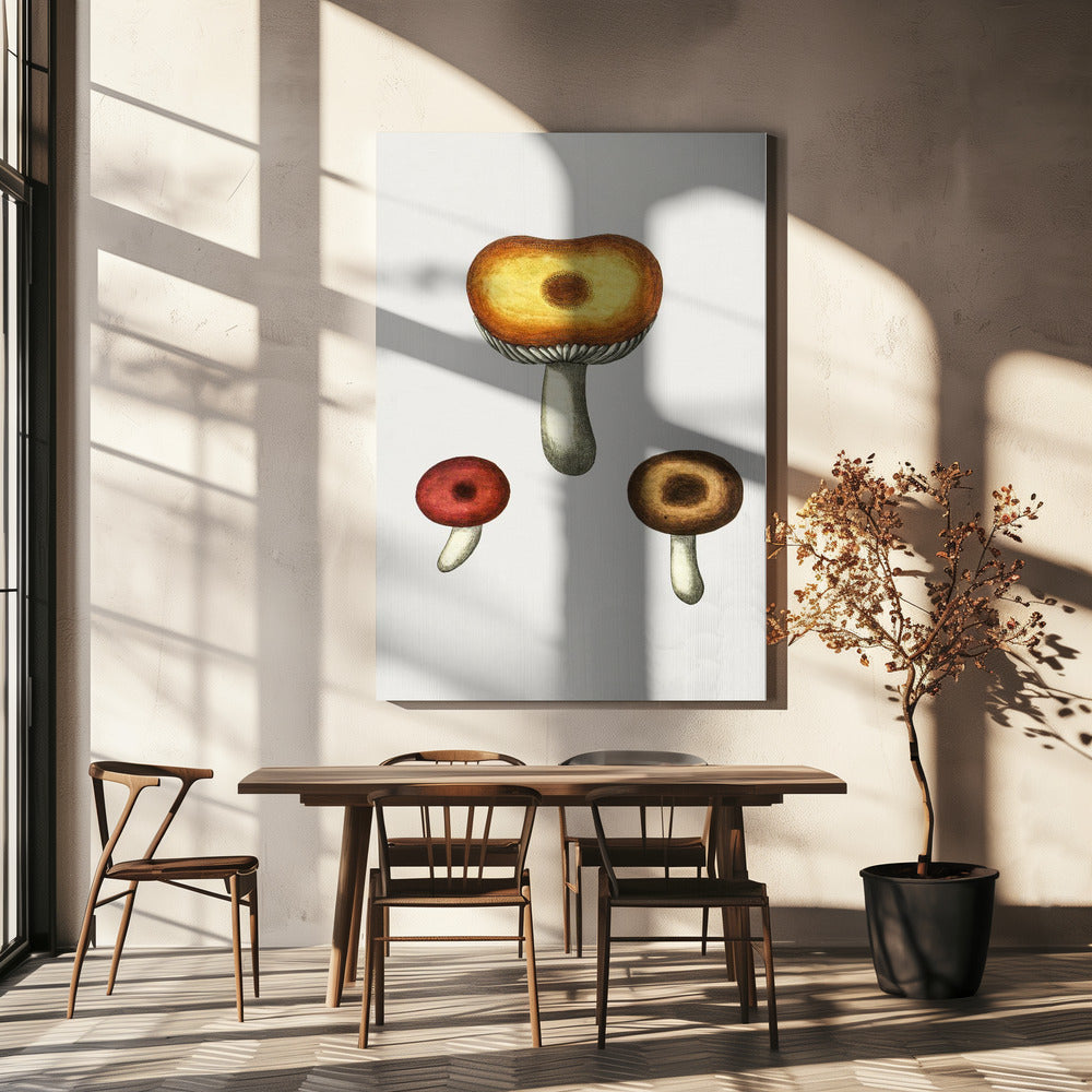 Handritad Galerina-svamp | Canvas