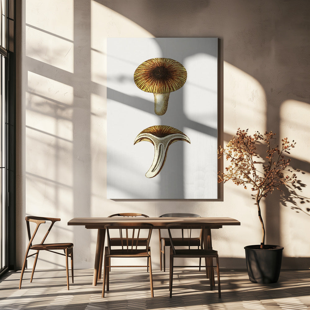 Ätbara svampar av vintagekantareller | Canvas