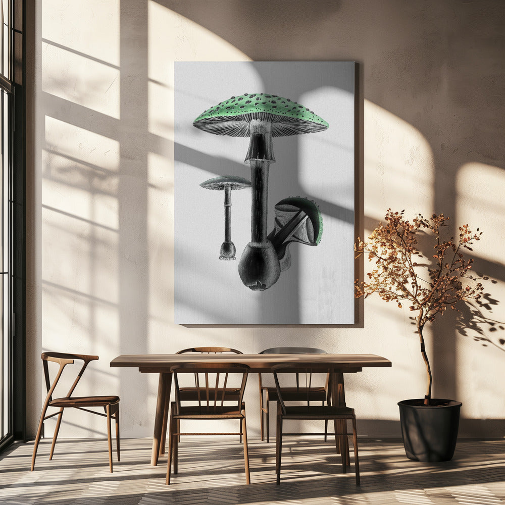 Amanita Muscaria Vit bakgrund Grön | Canvas