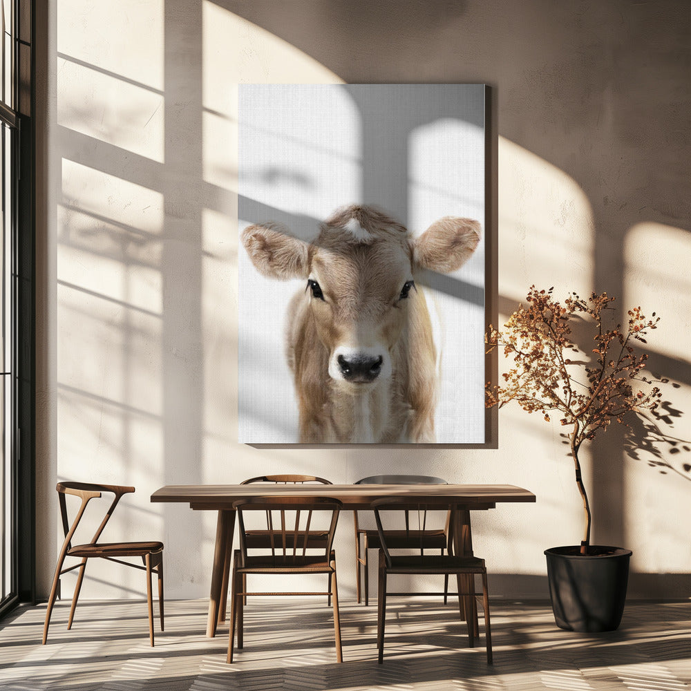 Peekaboo Baby Cow | Wydruki na łótnie