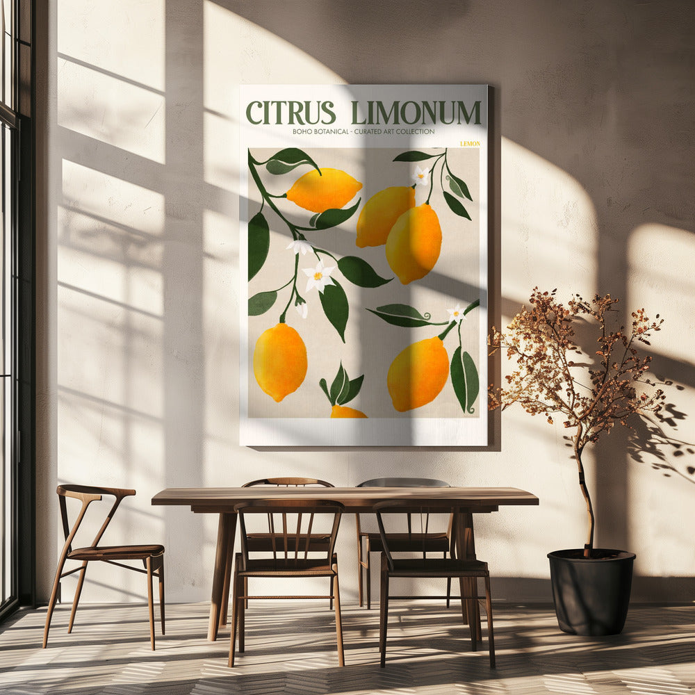 Citrus Limonum - Citron | Lærredsbilleder