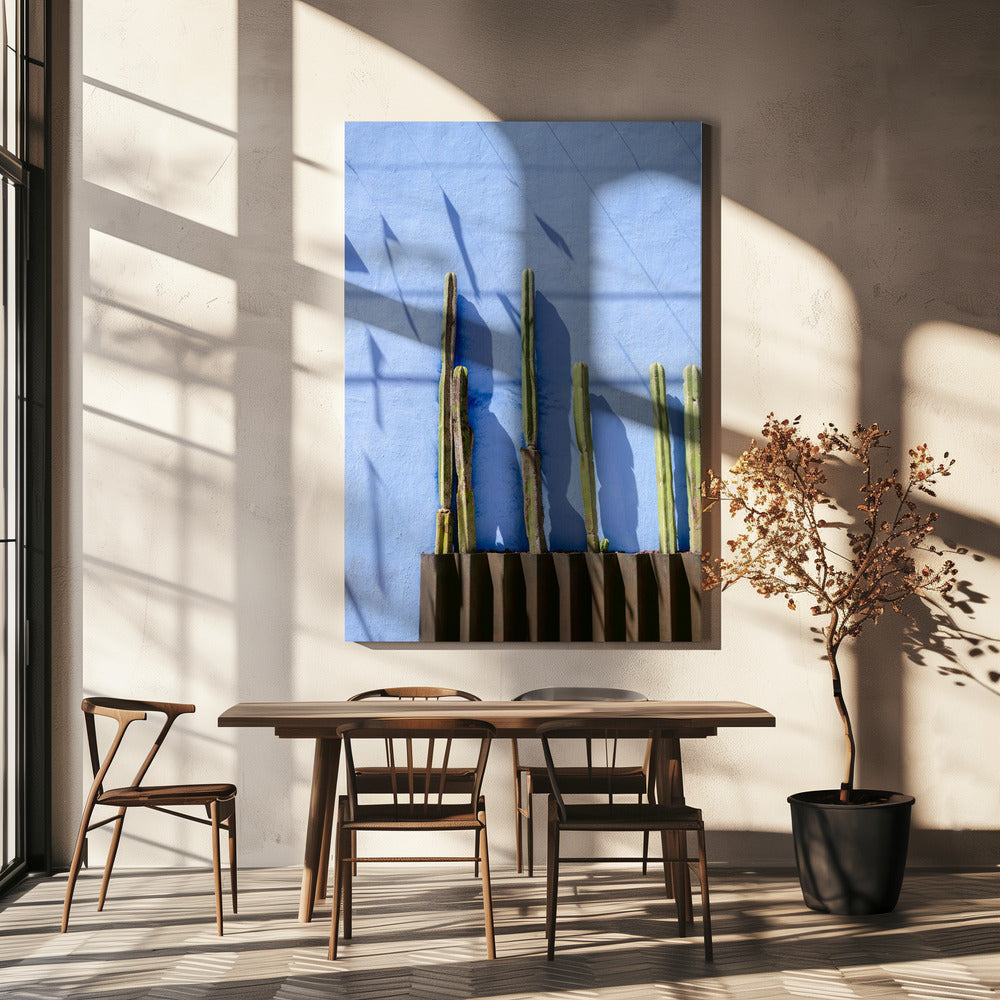 Grands cactus | Photographie de voyage à Oaxaca, Mexique | Tableaux sur Toile