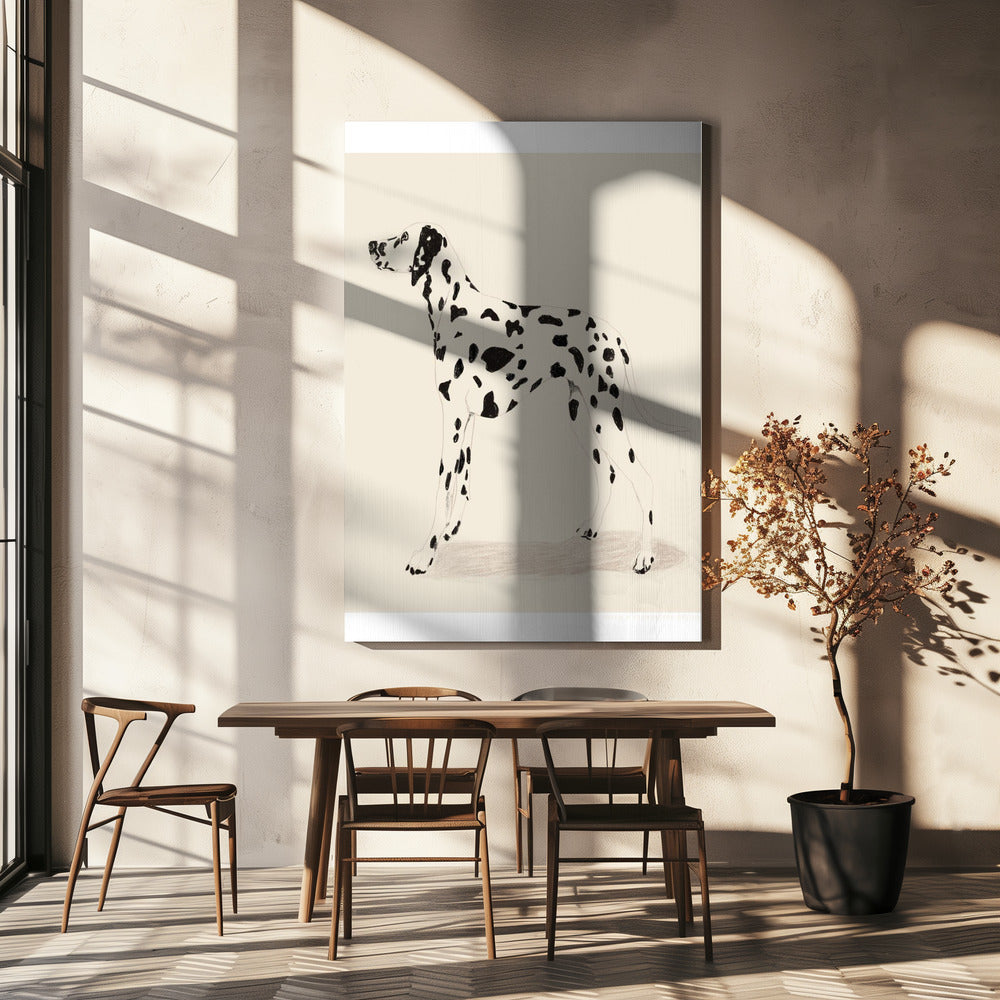 Pandc Dalmation | Canvas