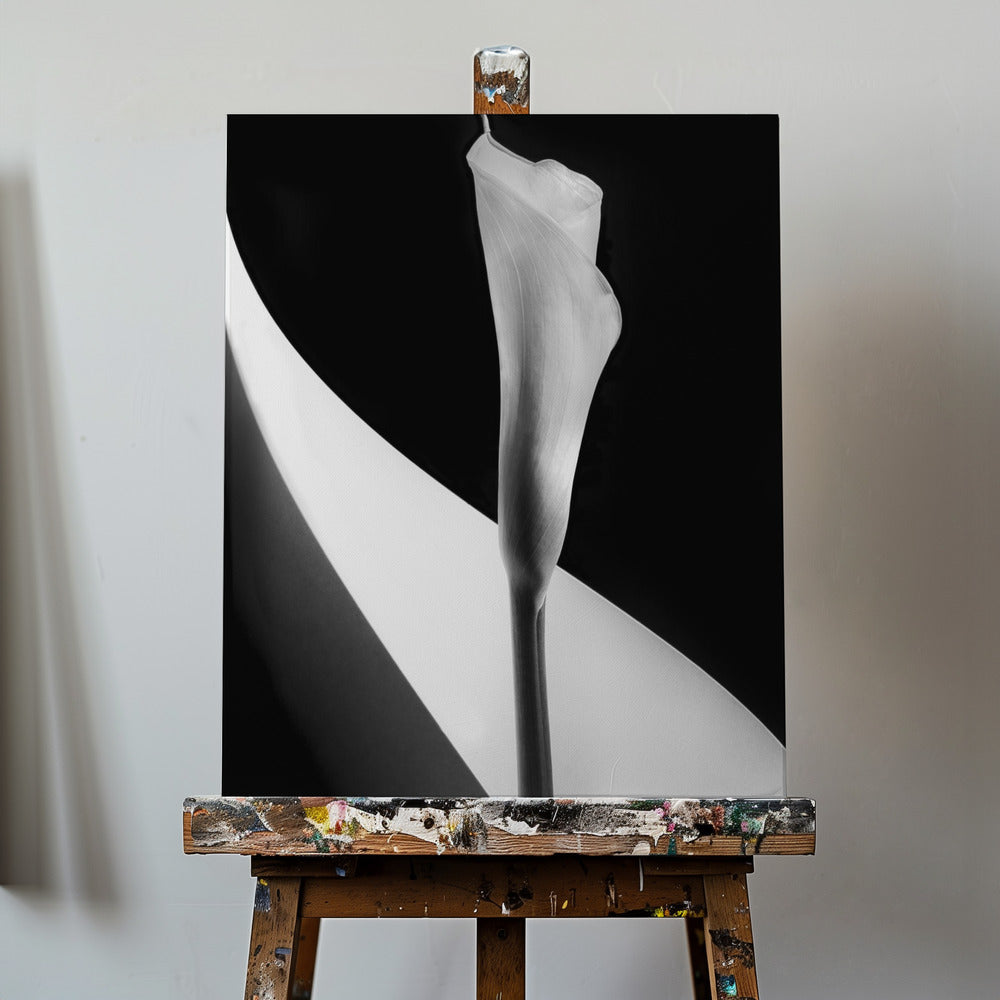 Calla-Lilie | Leinwand-Bilder