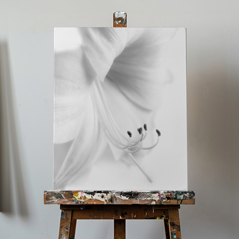 Vitt på vitt | Canvas