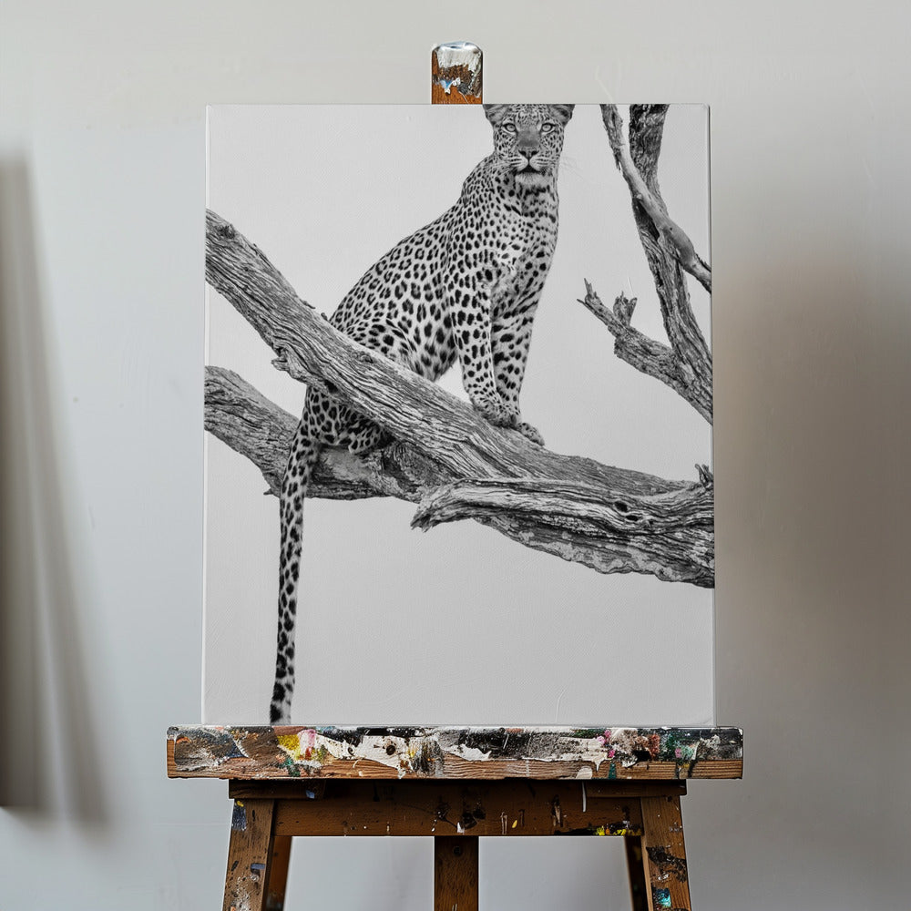Leopard Portrait-Mono Var | Tableaux sur Toile