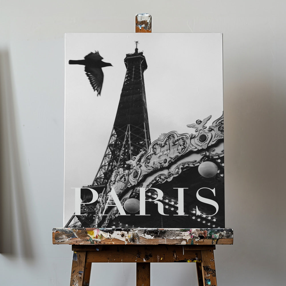 Paris Dove | Stampe su Tela