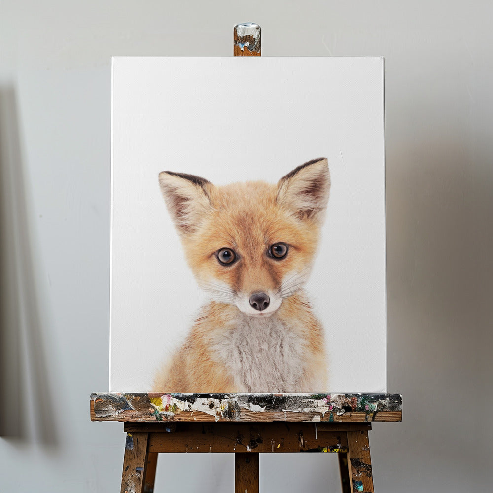 Baby Fuchs | Leinwand-Bilder