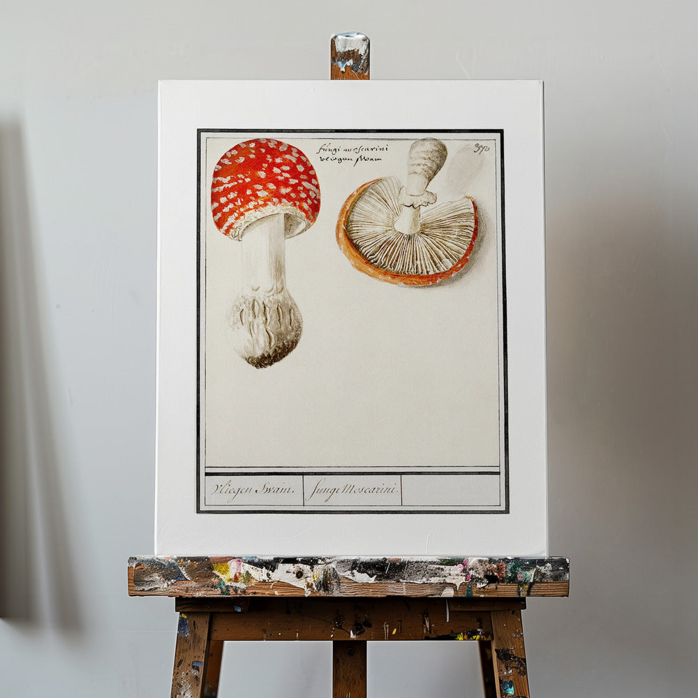 Perhohelta, Amanita Muscaria | Canvastaulut