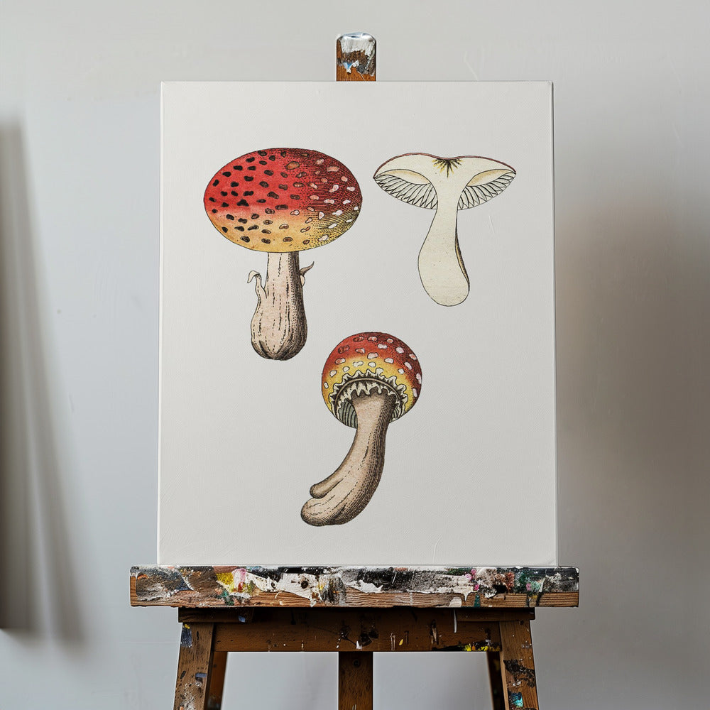 Fungo Amanita Muscaria disegnato a mano | Stampe su Tela