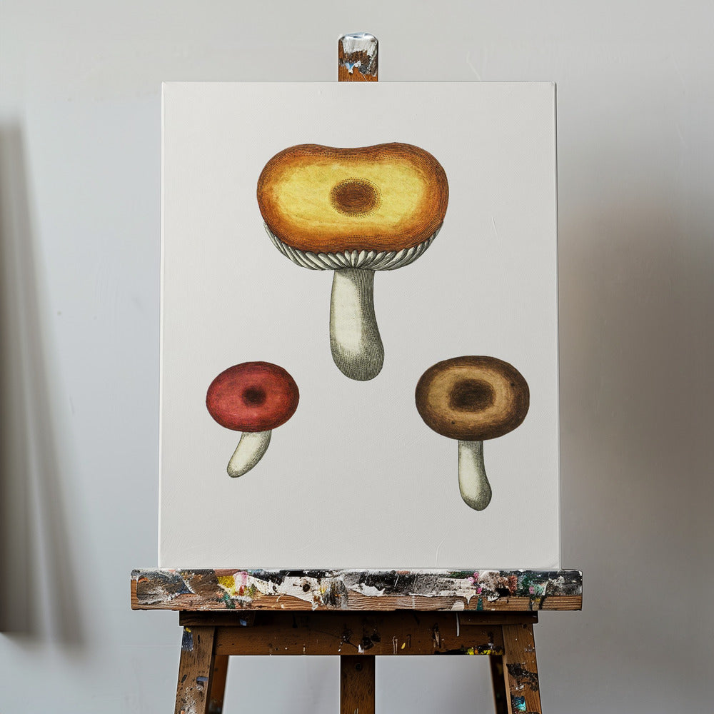 Handritad Galerina-svamp | Canvas