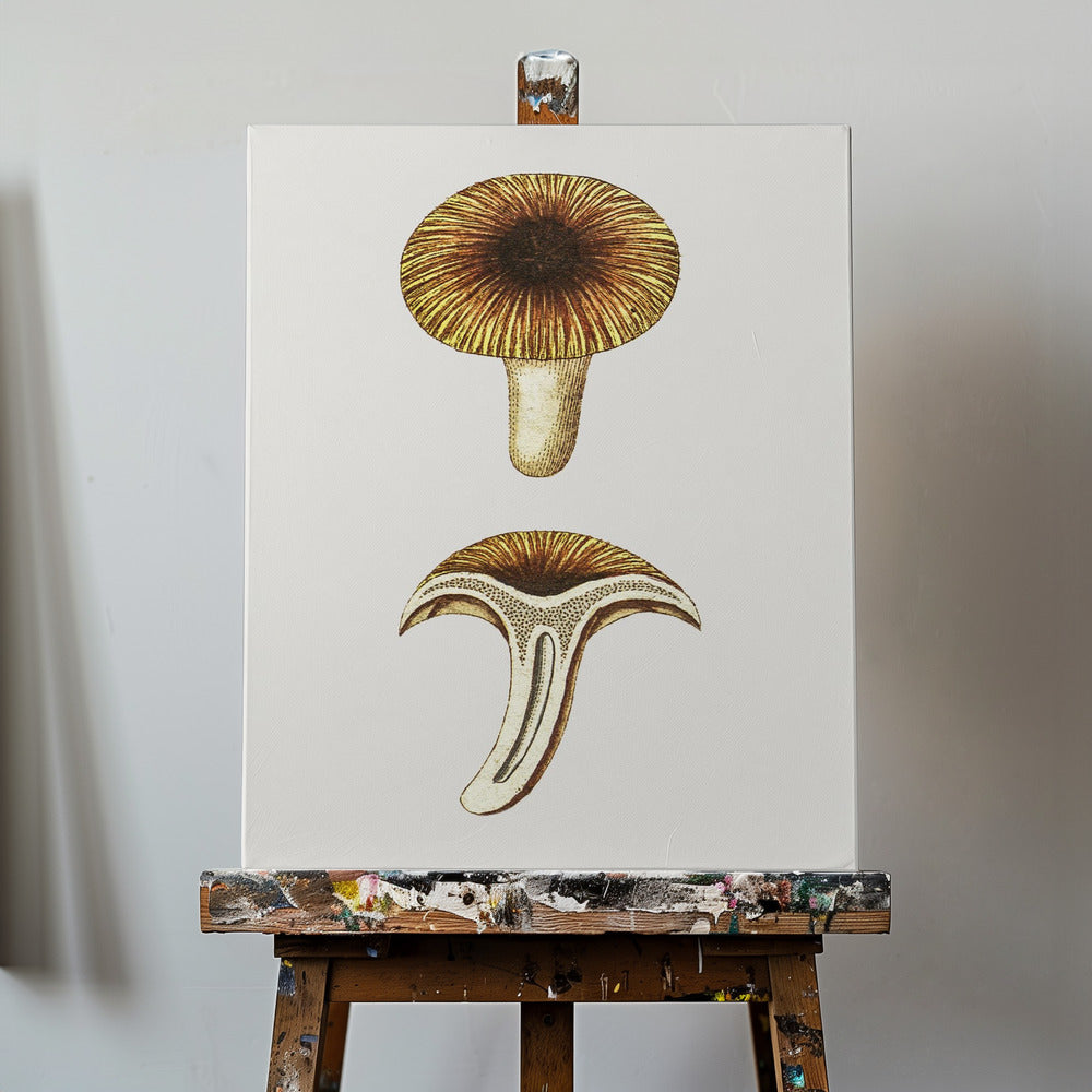 Ätbara svampar av vintagekantareller | Canvas
