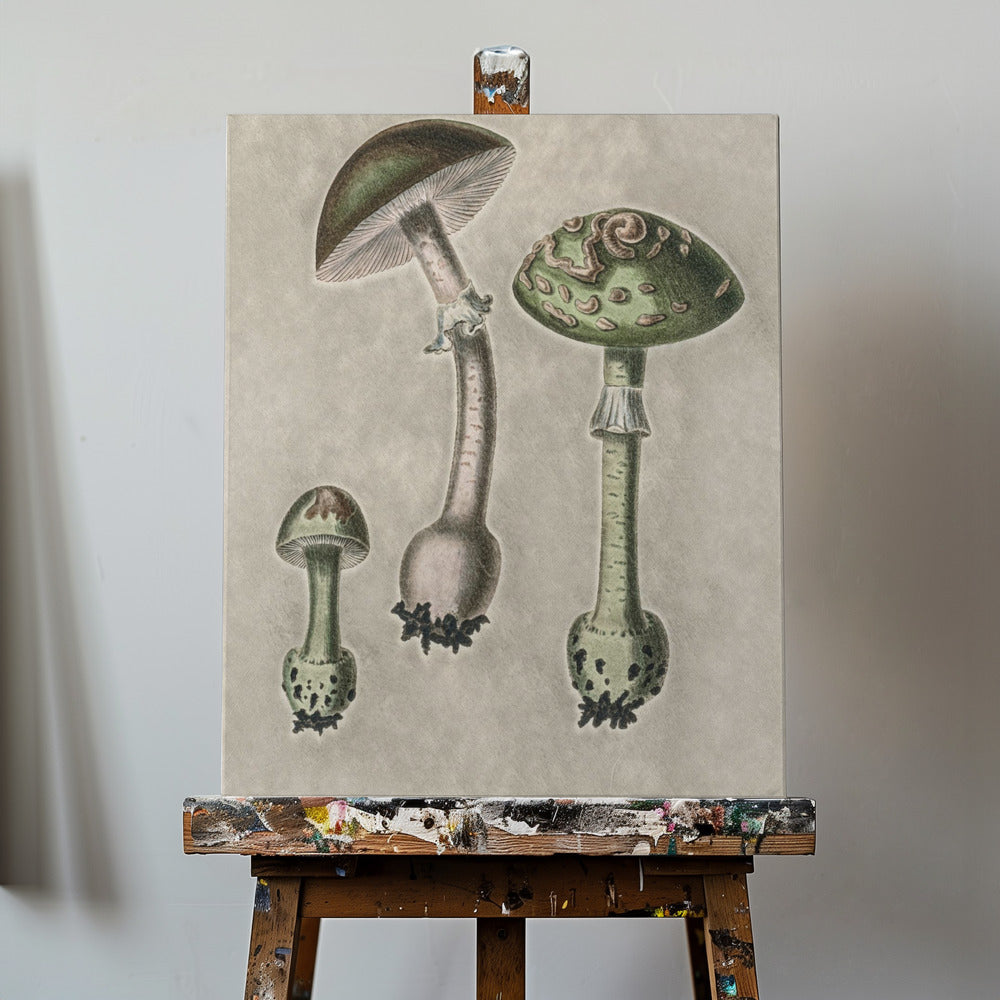 Amanita Muscaria Remix Grön | Canvas