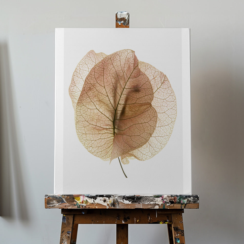 Bougainvillea-studie nr. 7 | Lærredsbilleder