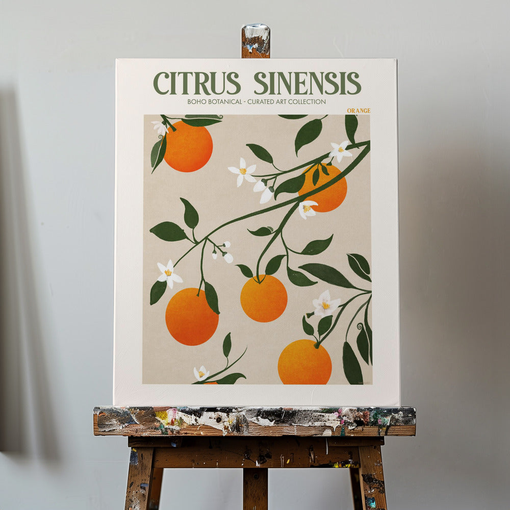 Citrus Sinensis - Appelsin | Lærredsbilleder