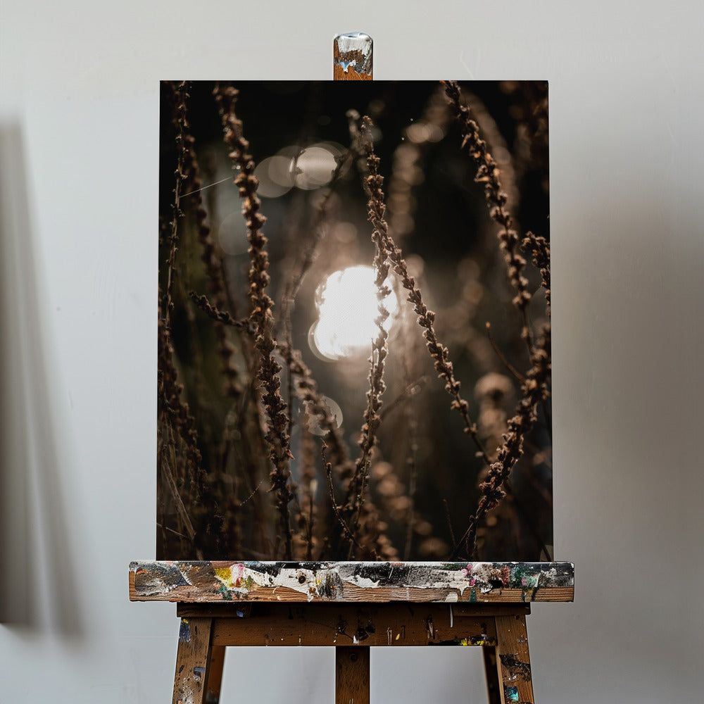 Lumières d'automne 2 | Tableaux sur Toile