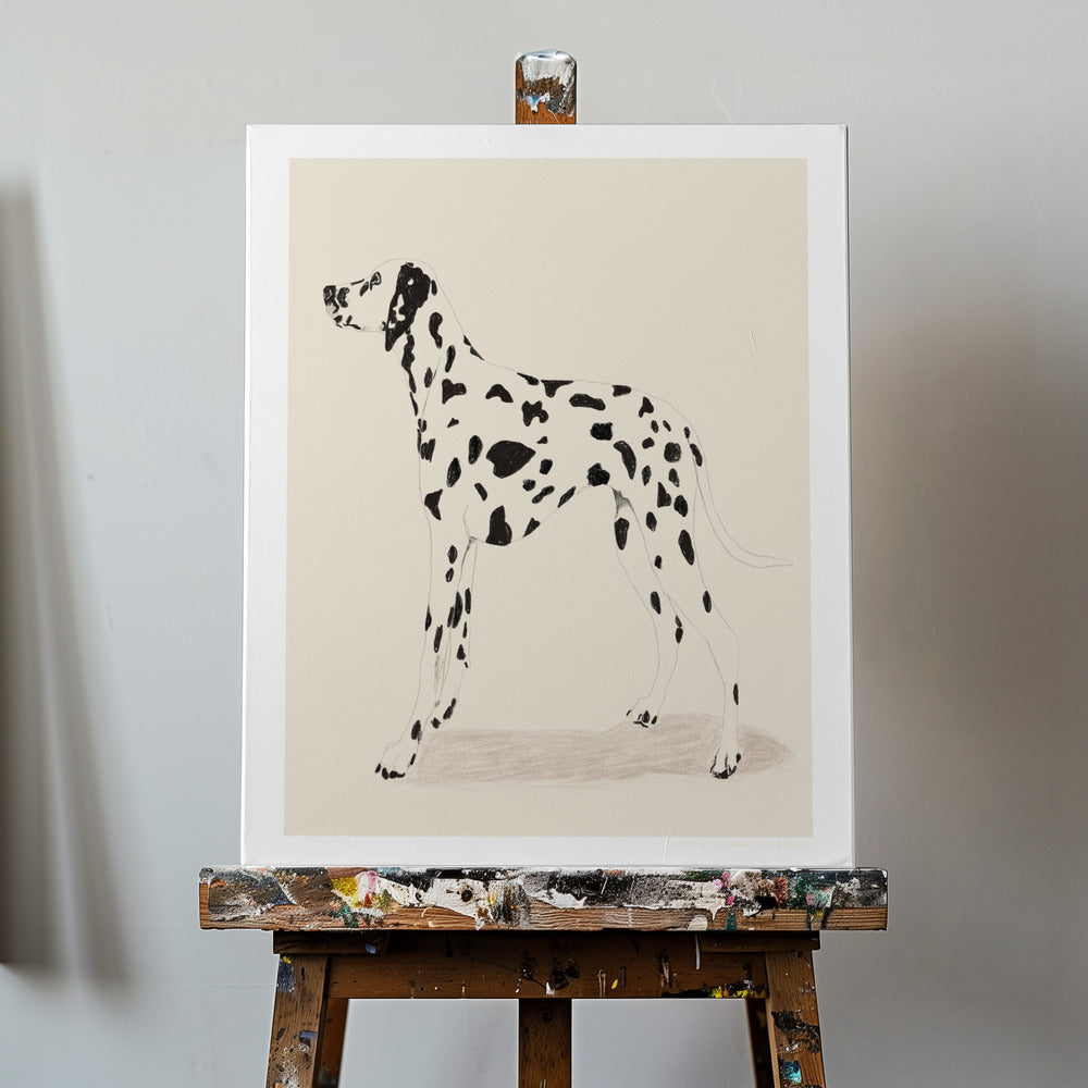 Pandc Dalmation | Canvas