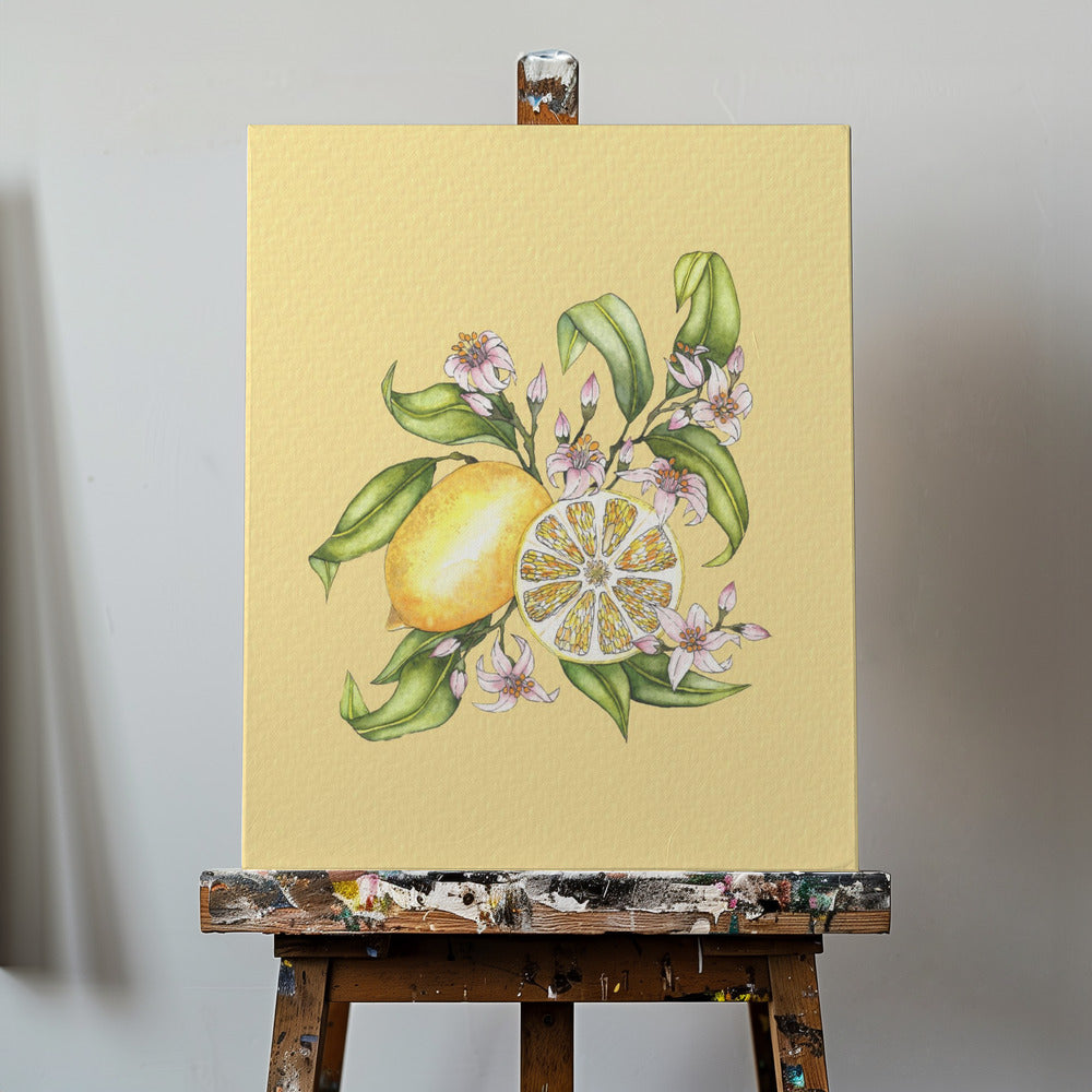 Lemon illustration | Canvas