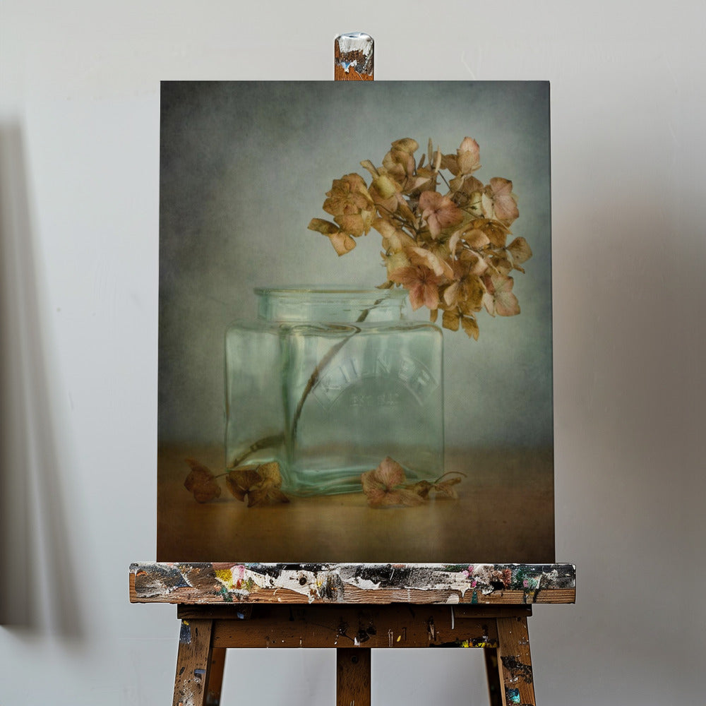 Hortensia | Lærredsbilleder