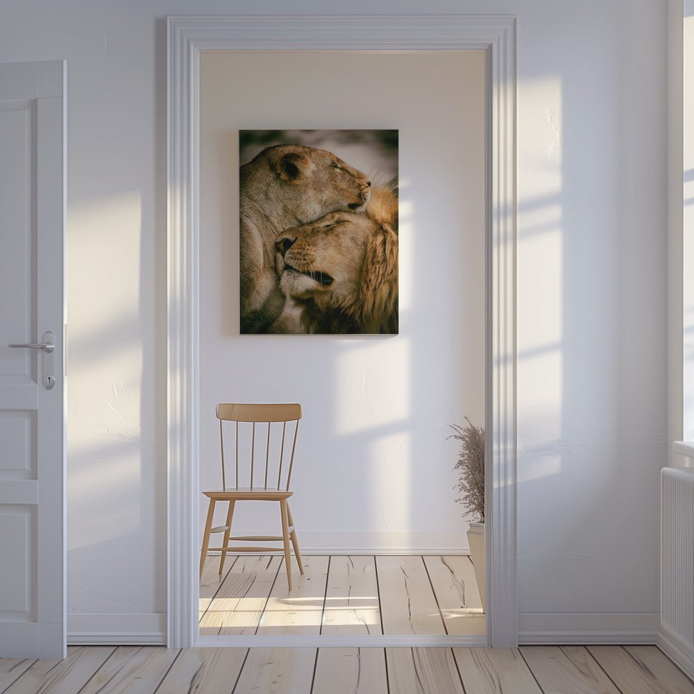 Vad är kärlek | Canvas