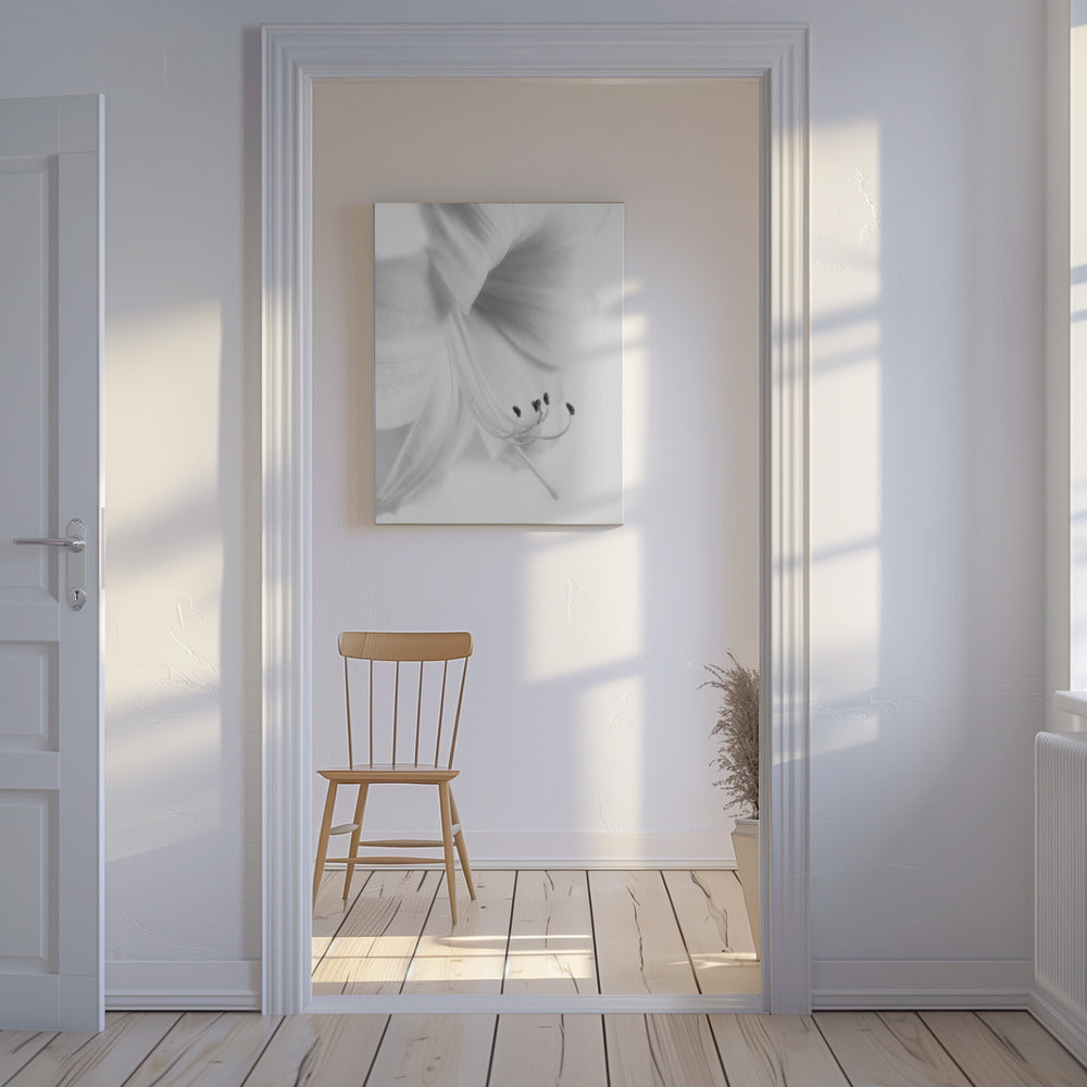 Vitt på vitt | Canvas