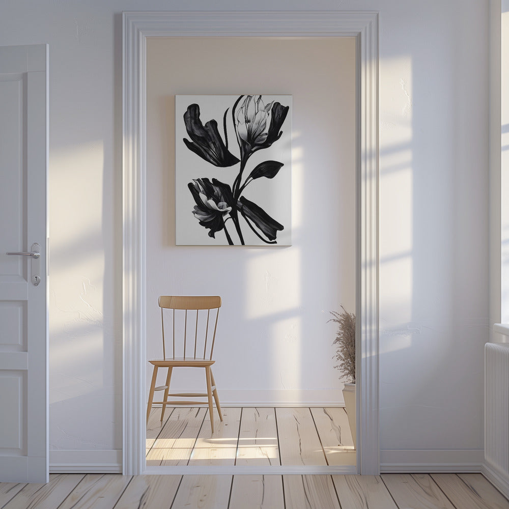 Fiore nero | Stampe su Tela