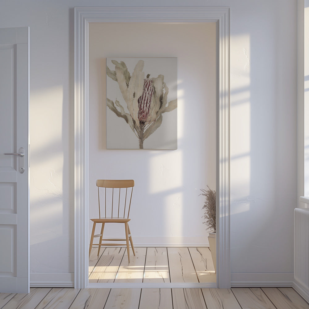Banksia | Tableaux sur Toile