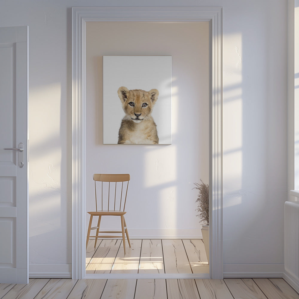 Cucciolo di leone | Stampe su Tela