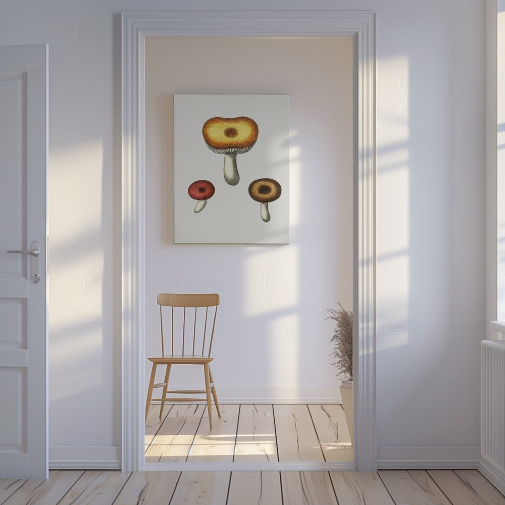 Handritad Galerina-svamp | Canvas