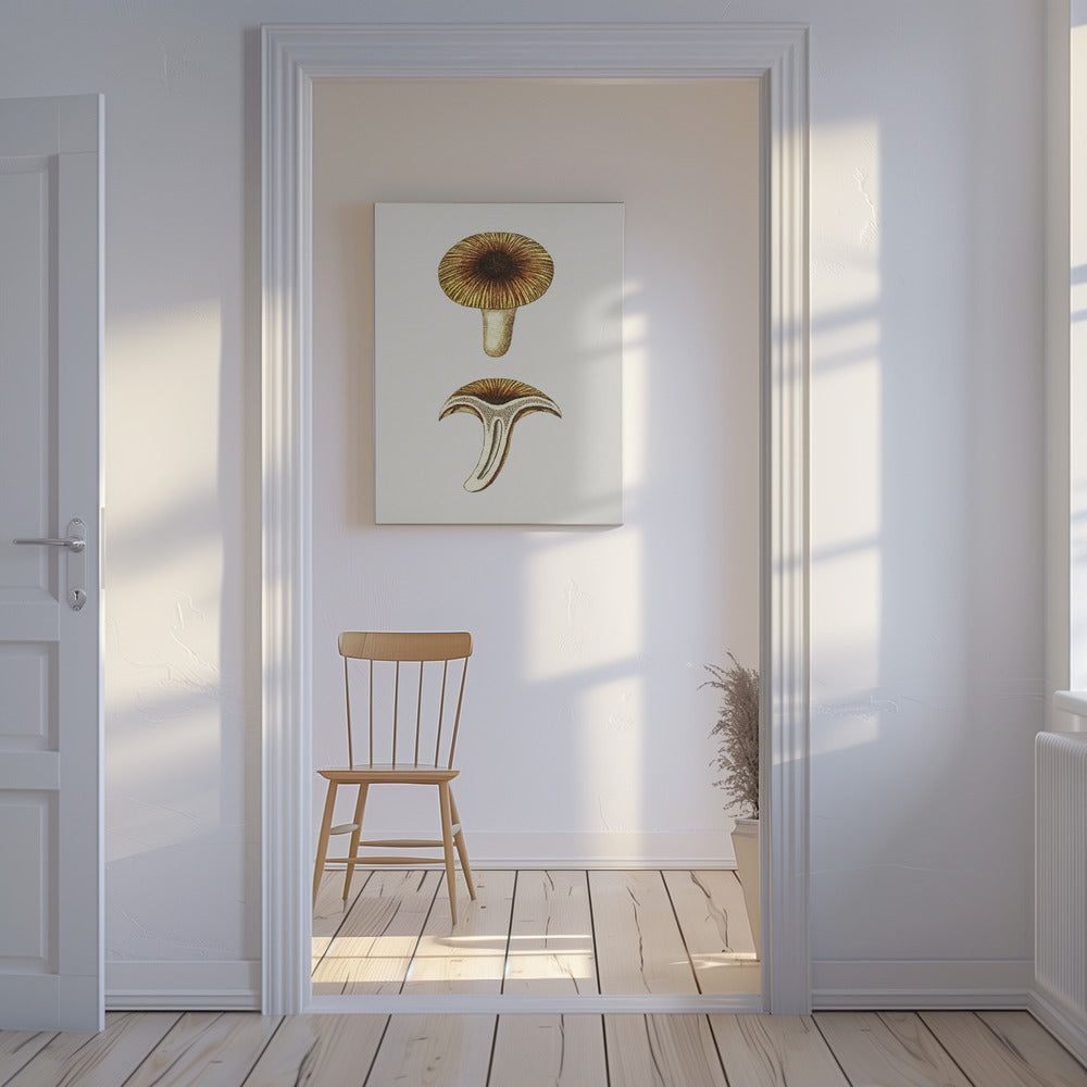 Ätbara svampar av vintagekantareller | Canvas