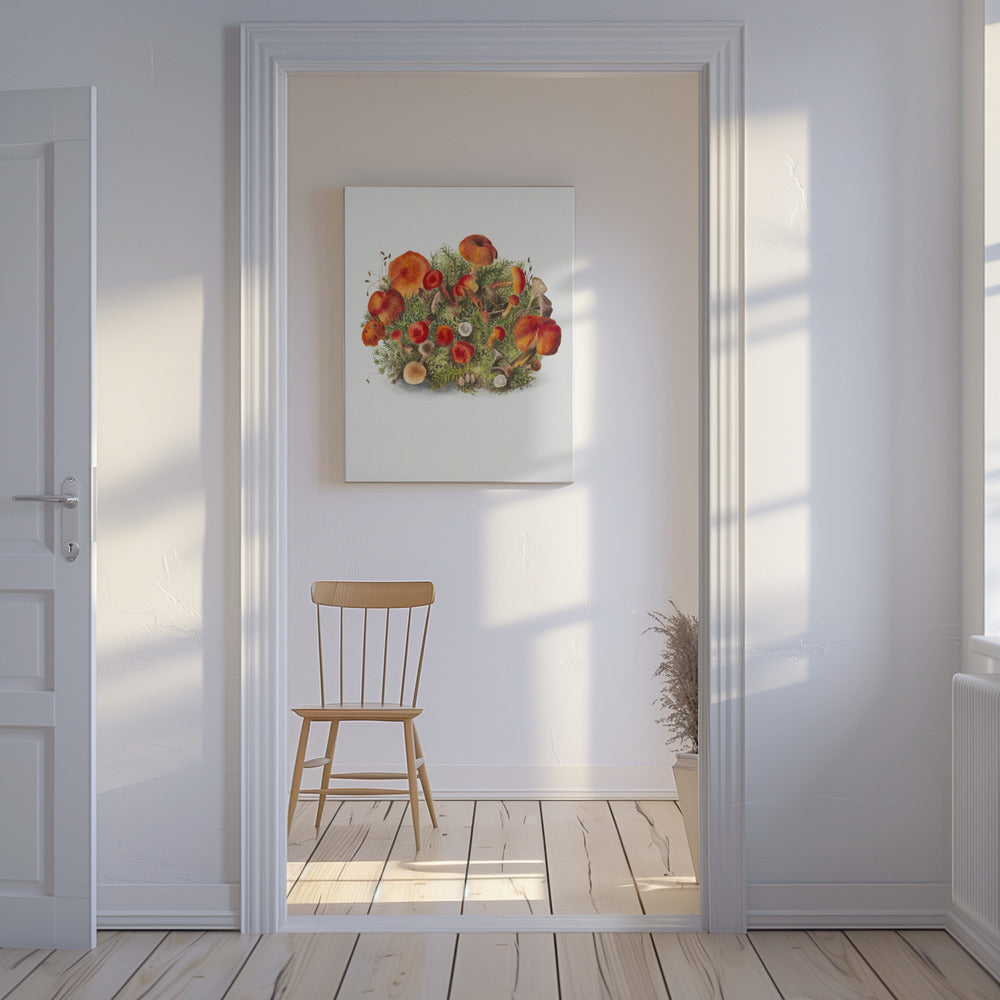 Studie av svampar (1880) Porträttläge | Canvas