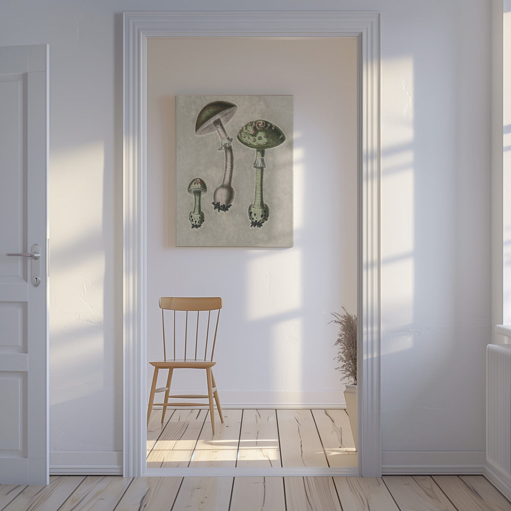 Amanita Muscaria Remix Grön | Canvas