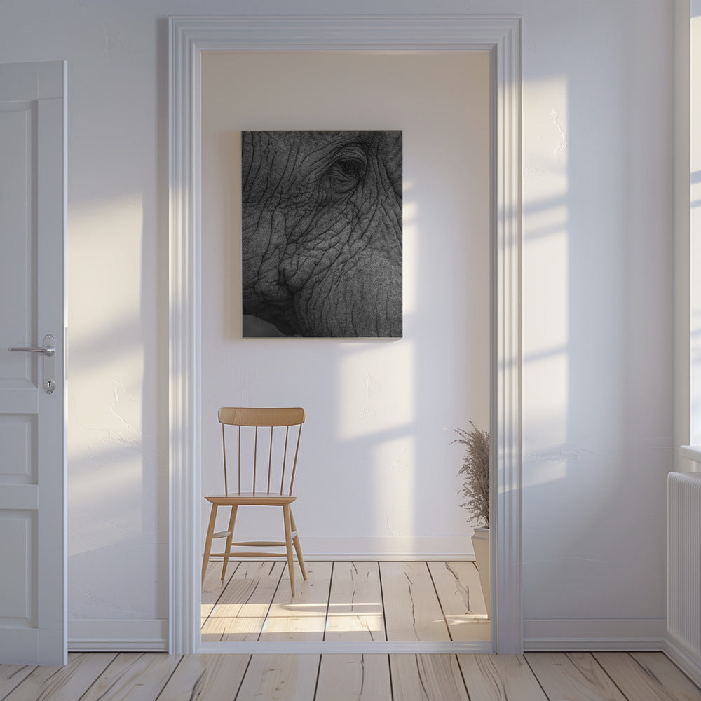 Olifant 01 | Canvasprints