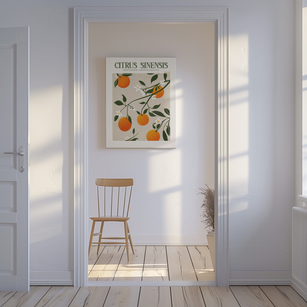 Citrus Sinensis - Appelsin | Lærredsbilleder