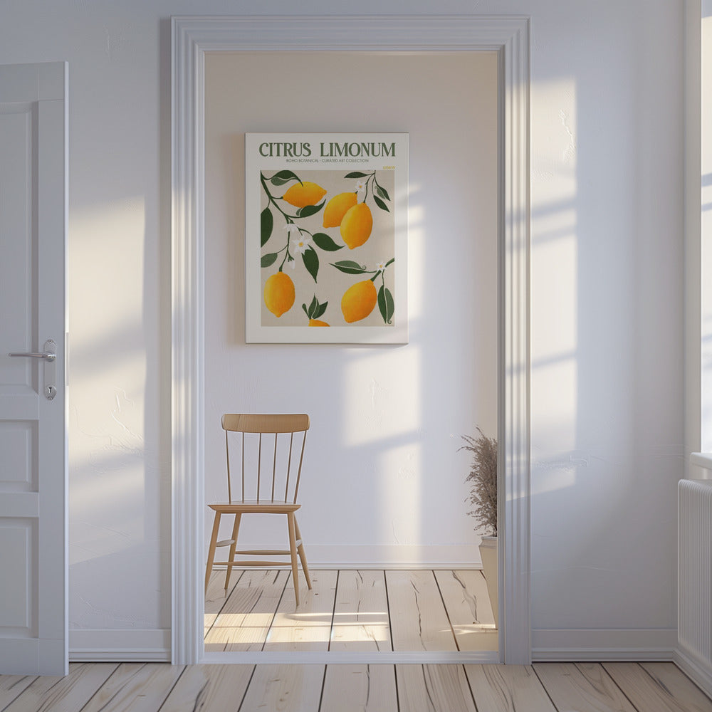 Citrus Limonum - Citron | Lærredsbilleder