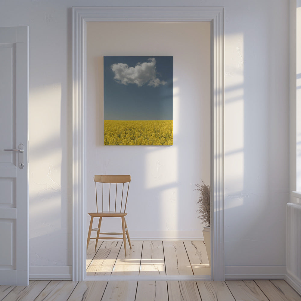 Visione | Stampe su Tela