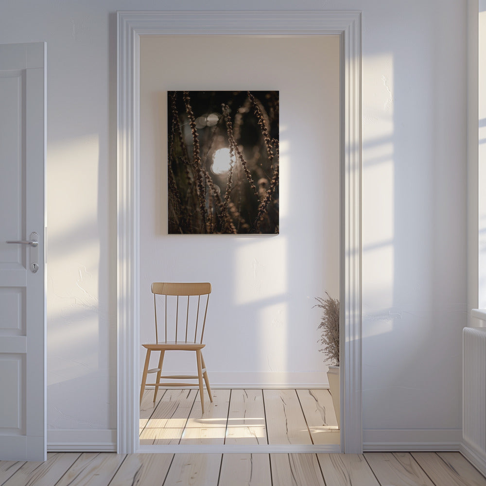 Lumières d'automne 2 | Tableaux sur Toile