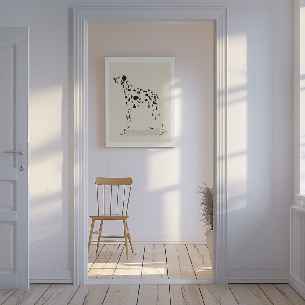 Pandc Dalmation | Canvas